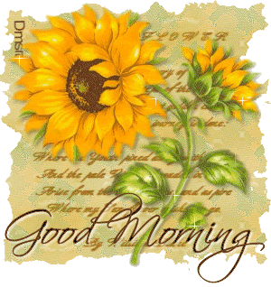 Funny Good Morning GIF