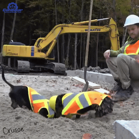 Happy Work Anniversary GIFs