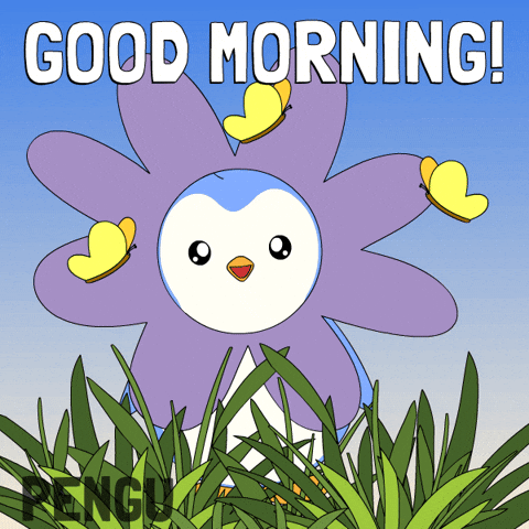 Funny Good Morning GIF