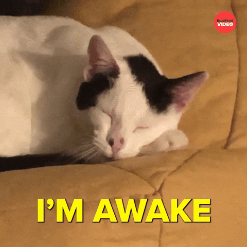 Funny Good Morning GIF