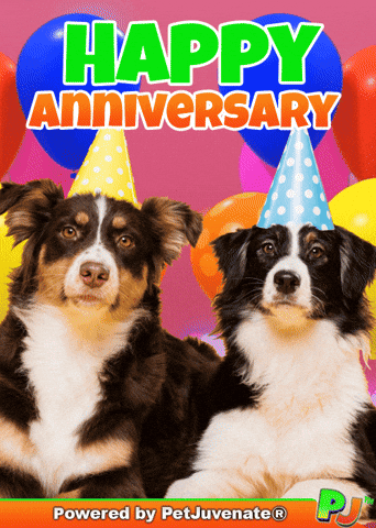 Happy Work Anniversary GIFs
