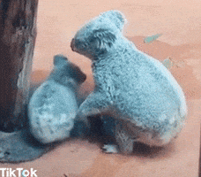 Hug GIFs