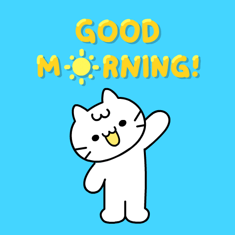 Funny Good Morning GIF